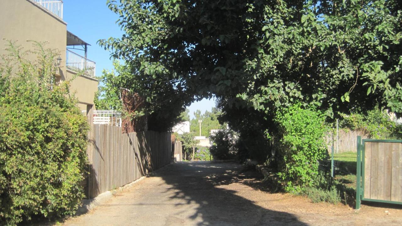 Apartamento The House By The Mulberry Tree Neve Ilan Exterior foto